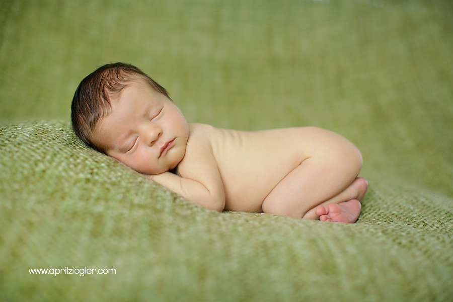 philadelphia-newborn-photographer-01
