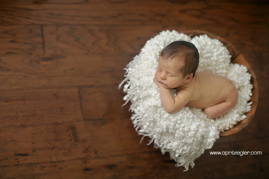 philadelphia-newborn-photographer-03