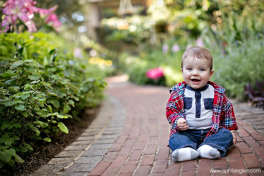 longwood-gardens-baby-session-001