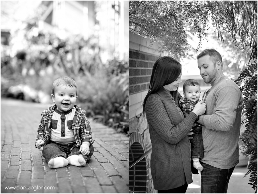 longwood-gardens-baby-session002
