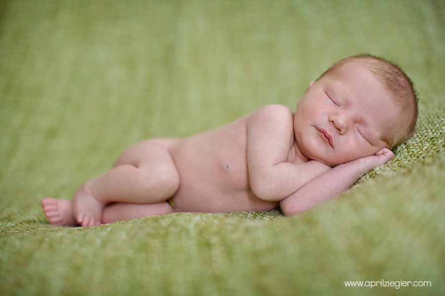 roxborough-newborn-photographer-001