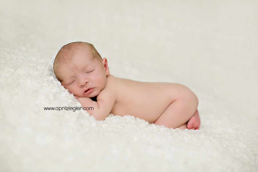 montgomery-county-newborn-photographer-03