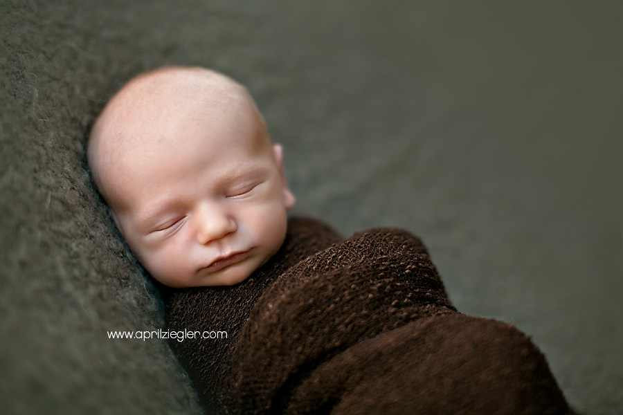 willow-grove-newborn-photographer-02