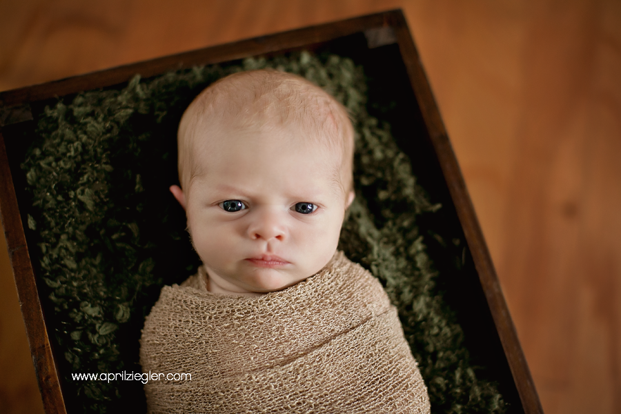 wynnewood-newborn-photographer-03