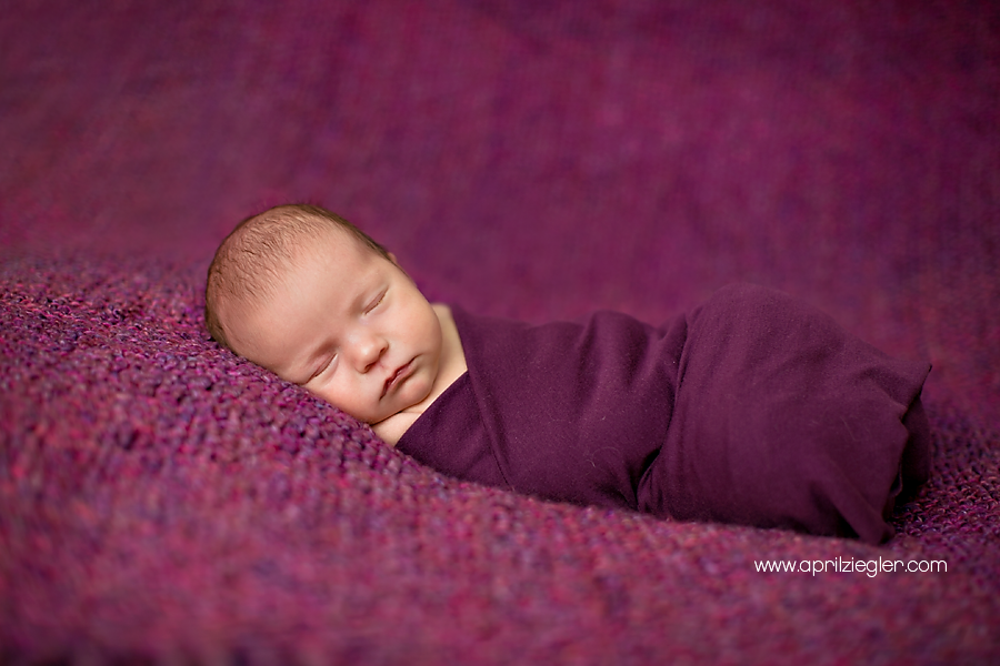 doylestown-newborn-photographer-001