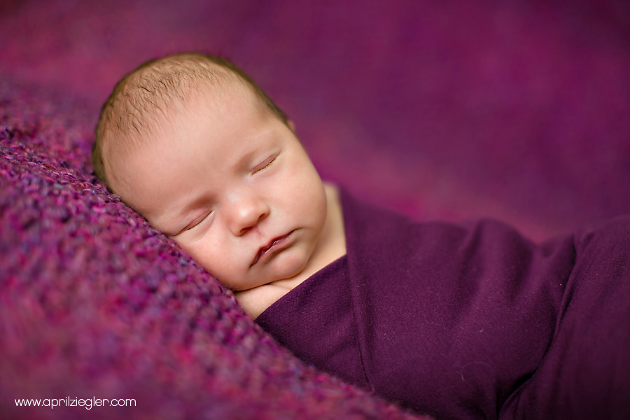 doylestown-newborn-photographer-003
