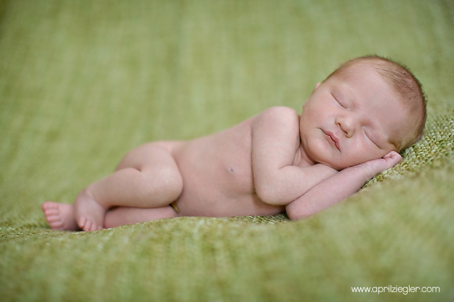 roxborough-newborn-photography-001