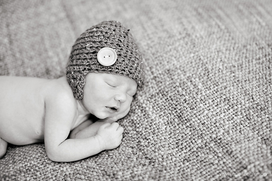 roxborough-newborn-photography-002