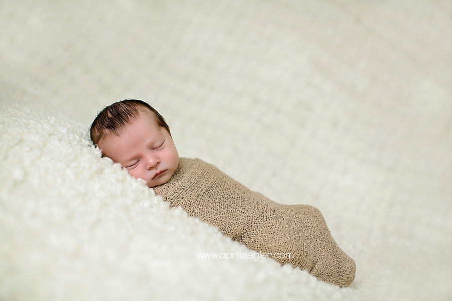 skippack-newborn-photography-001