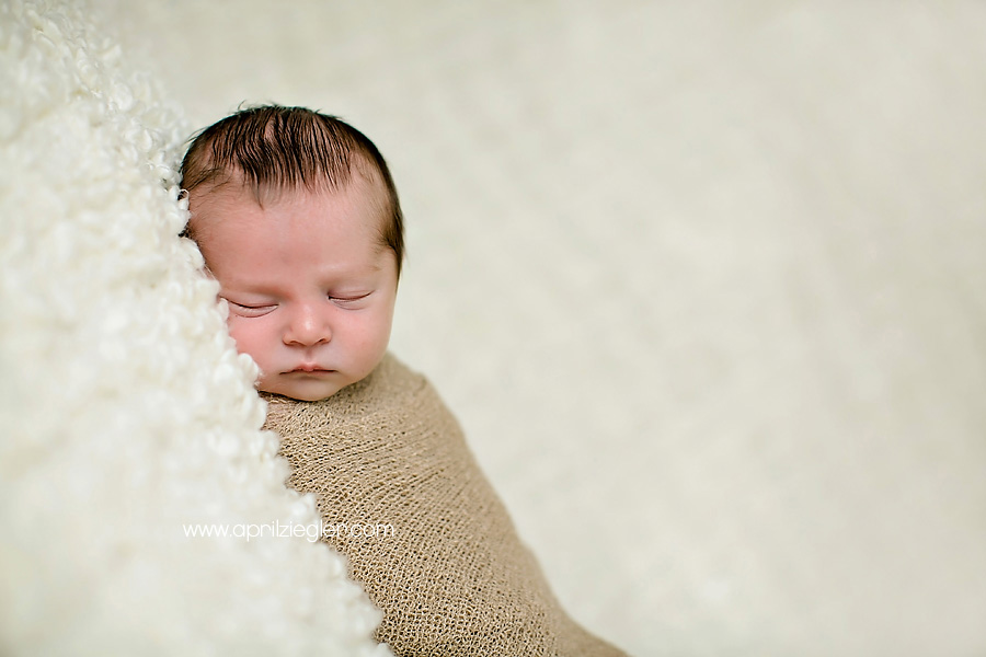 skippack-newborn-photography-003