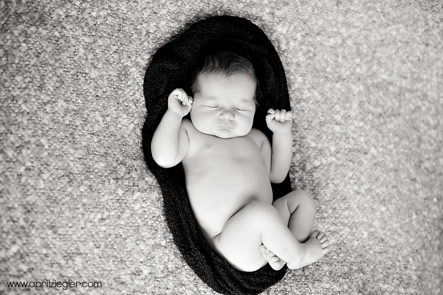 harleysville-newborn-photography-002
