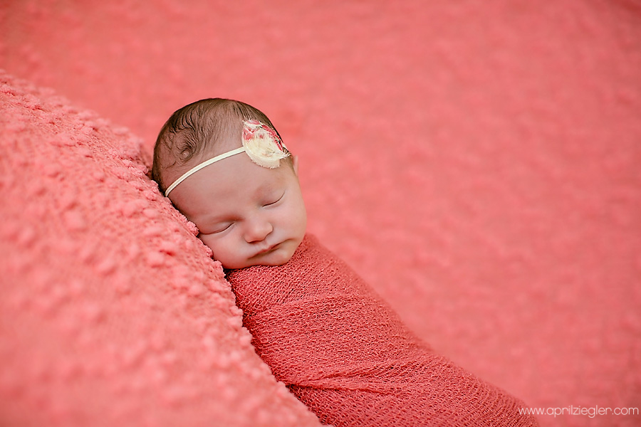 skippack-newborn-photographer-001