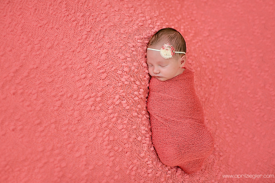 skippack-newborn-photographer-002