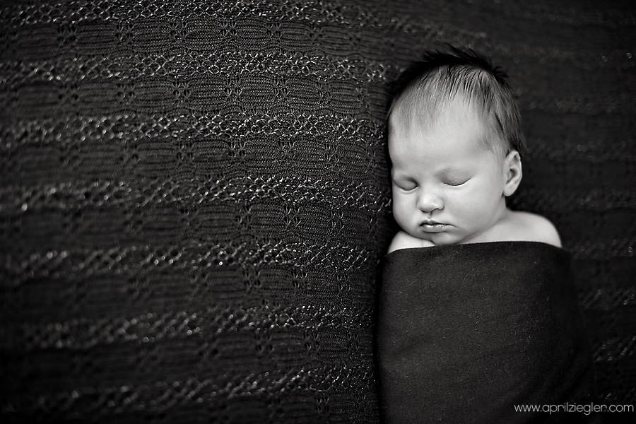 blue-bell-newborn-photographer-0002