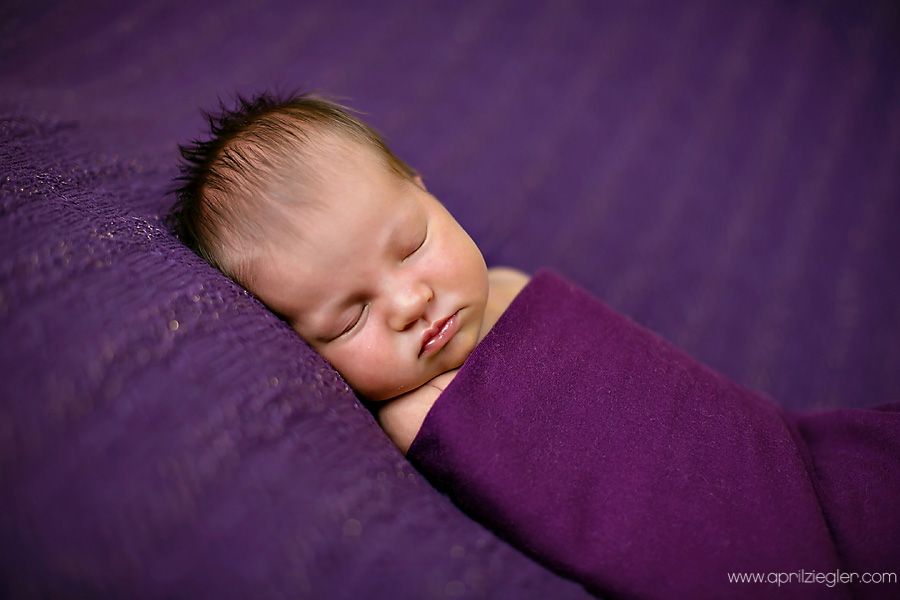 blue-bell-newborn-photographer-0003