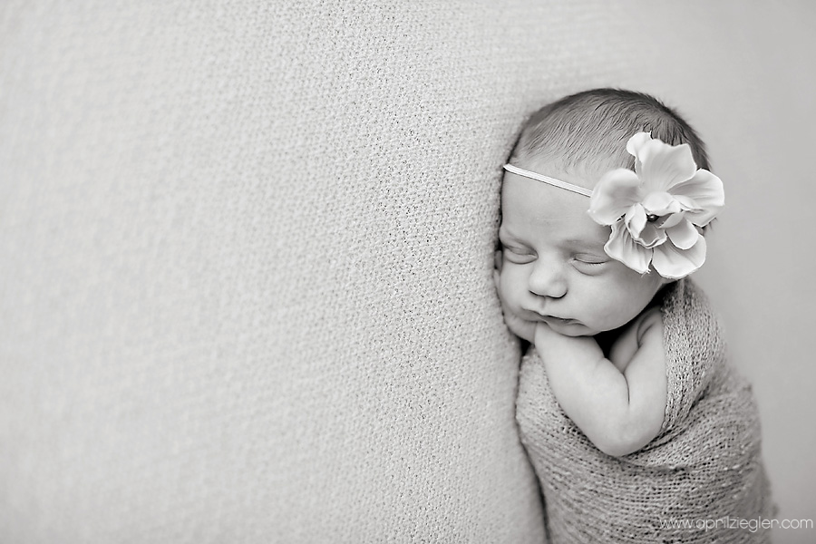 royersford-newborn-photographer-0003