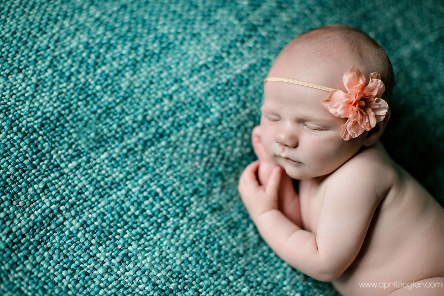lansdale-newborn-photographer-0002
