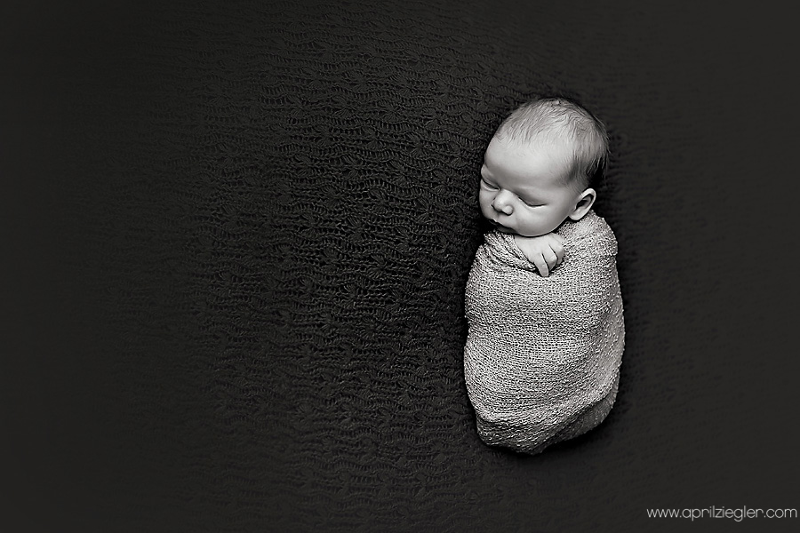 royersford-baby-photographer-0002