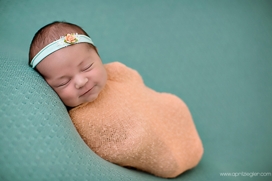 ambler newborn photographer